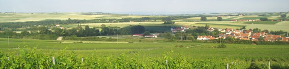 Rheinhessische Landschaft
